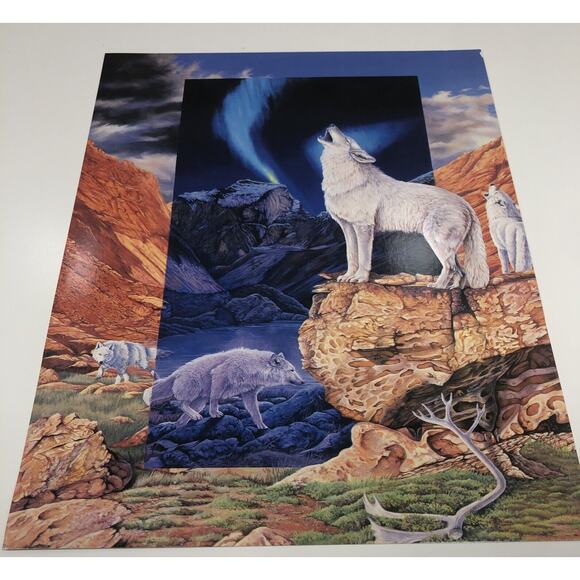 1996 Wild Animals Folder And 6 Posters USA Fox Owl Wolves Windows To The Wild - Picture 4 of 9